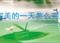 完美的一天怎么完成宋健线,完美的一天宋健线攻略