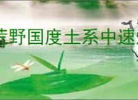 荒野国度土系中速爆发怎么玩,荒野国度土系中速爆发队搭配攻略