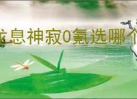 龙息神寂0氪选哪个英雄好,龙息神寂平民英雄推荐
