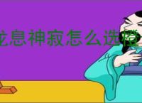 龙息神寂怎么选橙卡英雄,龙息神寂强力橙卡英雄推荐