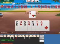 哈灵麻将上分秘籍,4 人双扣雷电记牌器