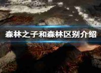 有什么区另外儿子森林和森林?介绍和森林差别