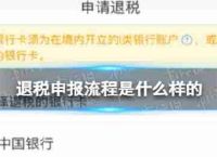 退税申报流程是什么样的纳税申报页面