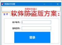 软件防盗版方案:保护开发者权益的必备措施