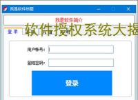 软件授权系统大揭秘:哪个才是你的最佳选择?
