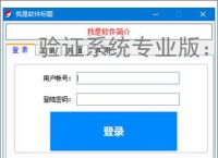 验证系统专业版:多维度软件防护方案解析