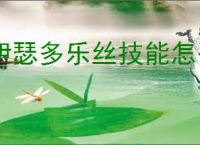伊瑟多乐丝技能怎么加点,伊瑟多乐丝玩法搭配攻略