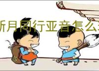 新月同行亚音怎么玩,新月同行亚音阵容搭配攻略