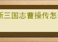 新三国志曹操传怎么过野猪毁田二,新三国志曹操传野猪毁田二关卡流程