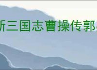 新三国志曹操传郭嘉怎么搭配,新三国志曹操传郭嘉搭配指南