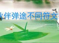 伙伴弹途不同符文有什么区别,伙伴弹途全部符文效果一览