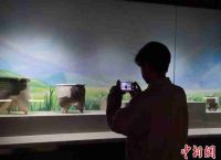 东北吉林大学展出史前考古证据下的生活