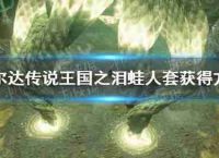 塞尔达传闻王国眼泪”蛙人的如何?蛙人设置措施
