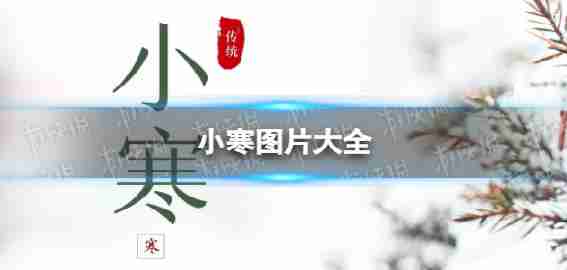 小寒2023张的照片